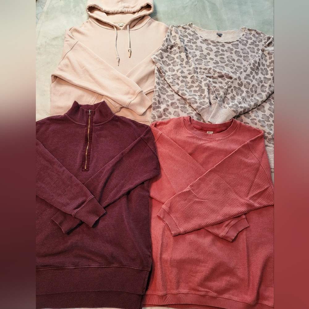 BUnDLe ☆ Aerie Sweatshirt/Hoodie